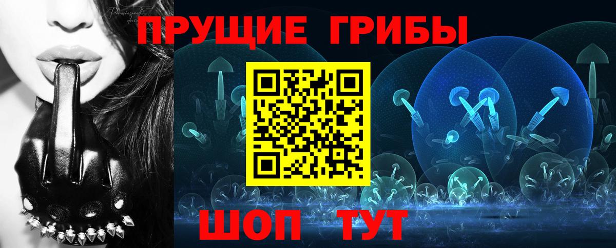 Псилоцибиновые грибы Cubensis Архангельск