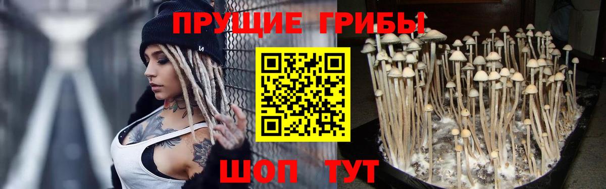 Псилоцибиновые грибы мицелий  Вход с VPN  Архангельск 